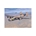 B24D LIBERATOR - Imagen 1