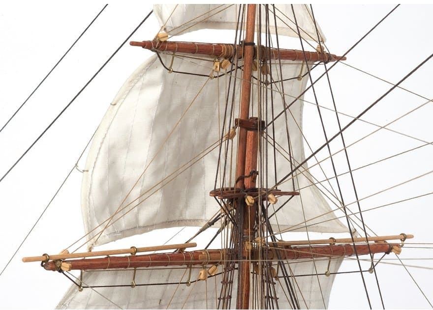 Maqueta barco de madera HMS Beagle (occre 12005) - Imagen 11
