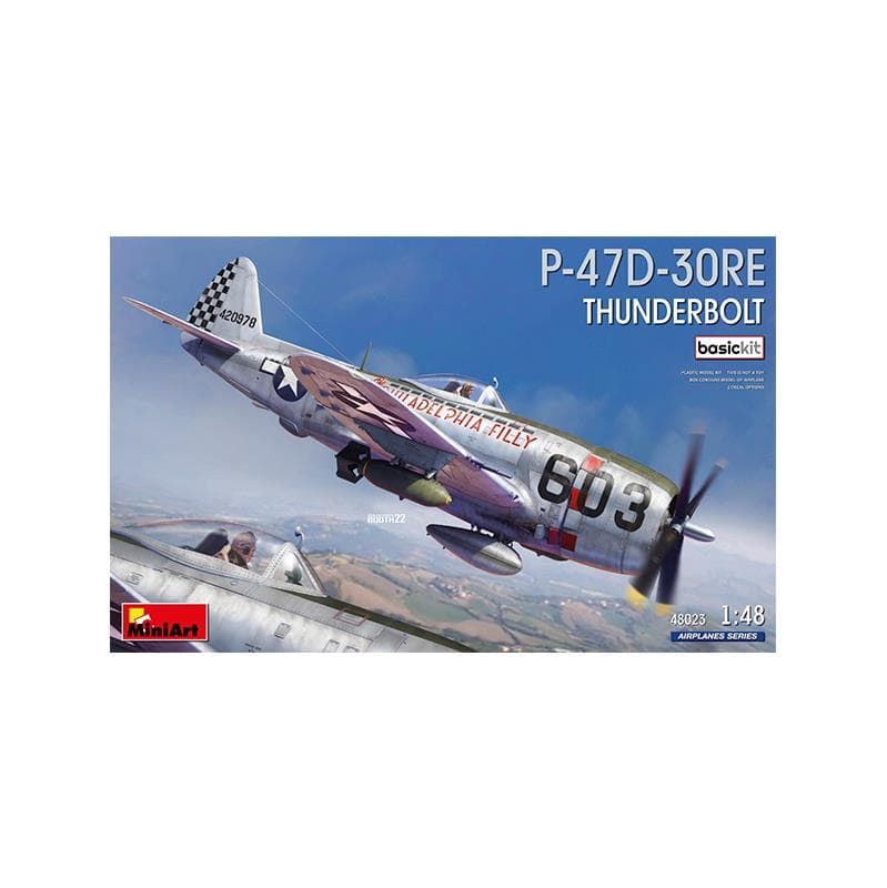 P47D THUNDERBOLT - Imagen 1
