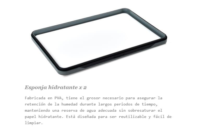 Paleta húmeda - Imagen 2